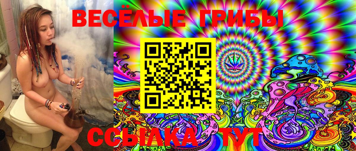 Галлюциногенные грибы прущие грибы  Псилоцибиновые грибы Magic Shrooms  Красноярск  Вход с VPN 