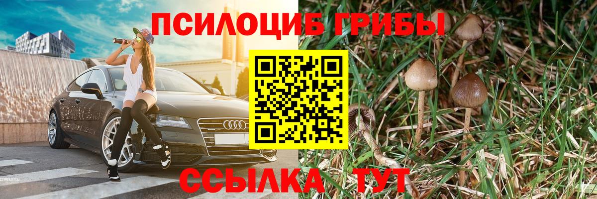 Псилоцибиновые грибы Magic Shrooms Красноярск